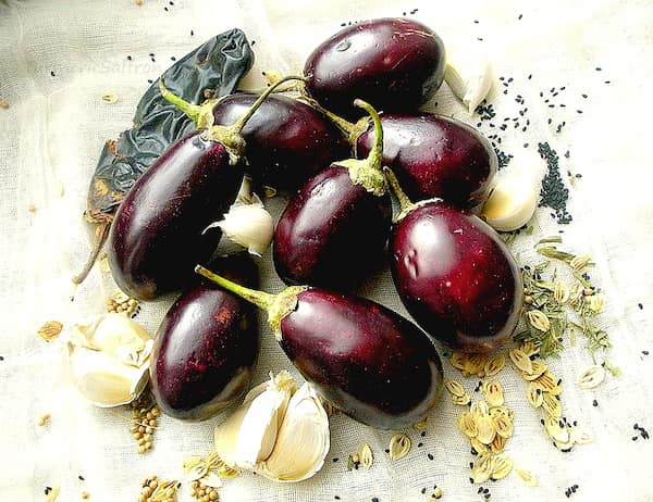 تصویر 2 از فروش بادمجان قلمی کوچک + قیمت خرید به صرفه